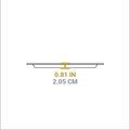 Rectangular Griddle